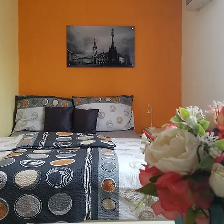 公寓 4u奥洛穆茨公寓 奥洛穆茨